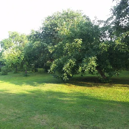 W Sadzie - Apartament