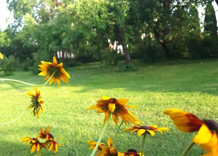 Apartament W Sadzie - Sterławki Wielkie