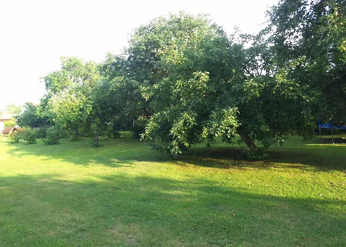 W Sadzie - Apartament